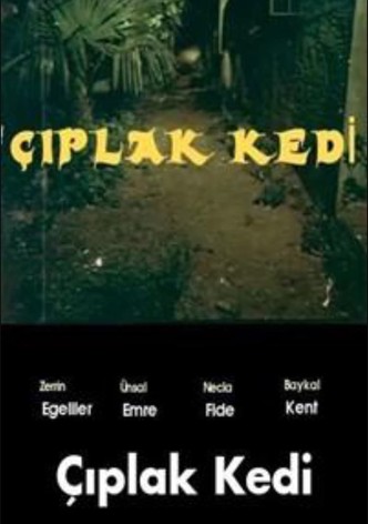 Çiplak Kedi
