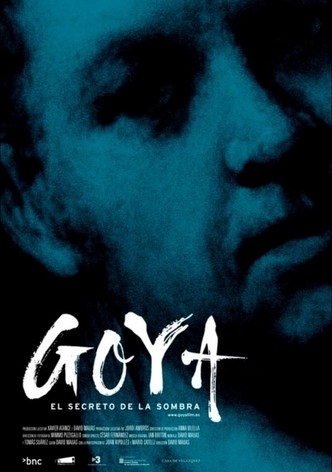 Goya: el secreto de la sombra