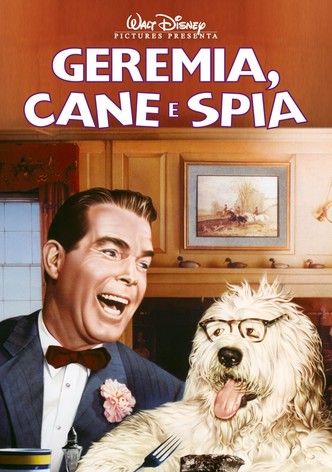 Geremia, cane e spia