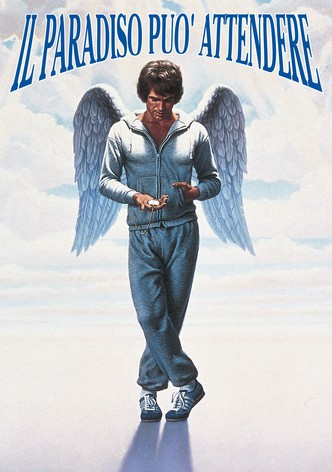 Il paradiso può attendere