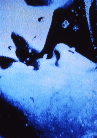 Self-Portrait in 23 Rounds: a Chapter in David Wojnarowicz’s Life, 1989–1991