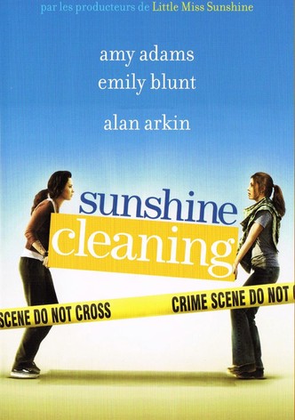 Sunshine Cleaning