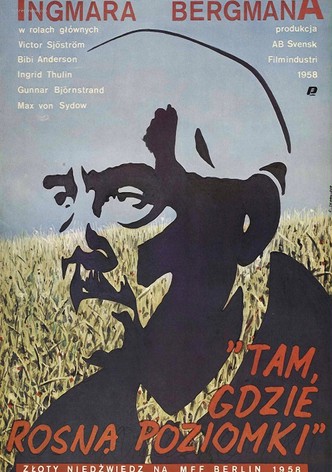 Tam, gdzie rosną poziomki