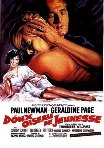 Doux oiseau de jeunesse