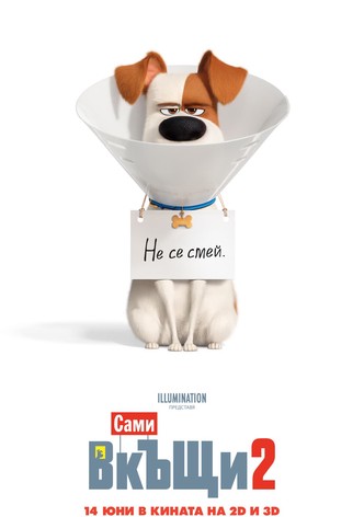 Сами вкъщи 2