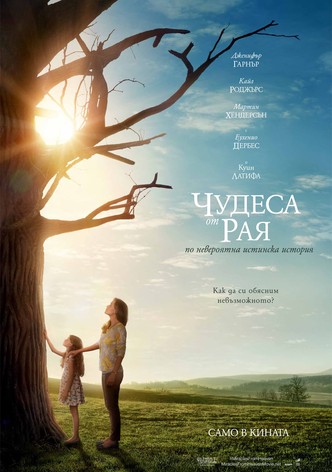 Чудеса от рая