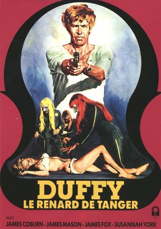 Duffy, le renard de Tanger