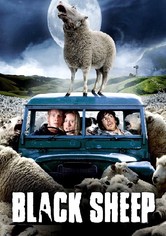 Black Sheep