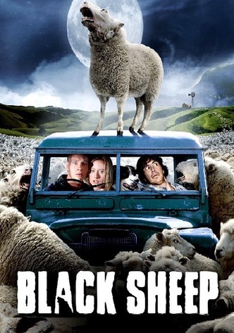 Black Sheep