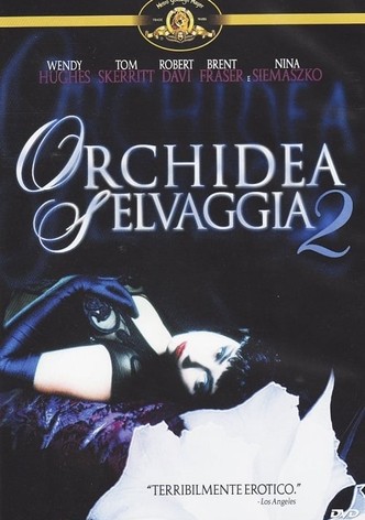 Orchidea selvaggia 2