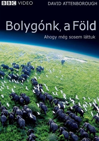 Bolygónk, a Föld