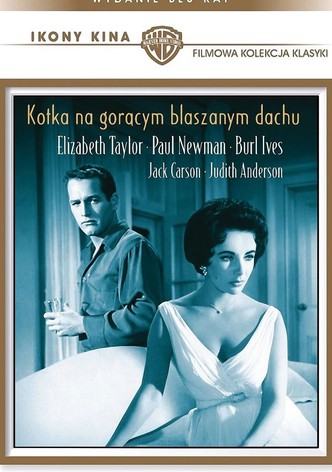 Kotka na gorącym, blaszanym dachu