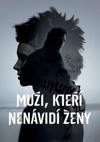 Muži, kteří nenávidí ženy