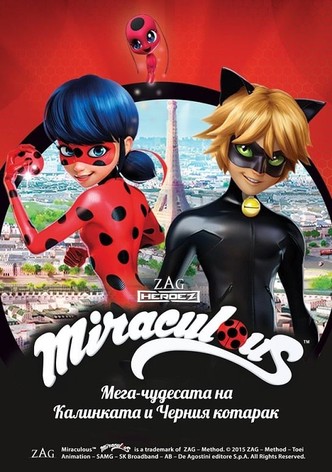 Мега-чудесата на Калинката и Черния котарак