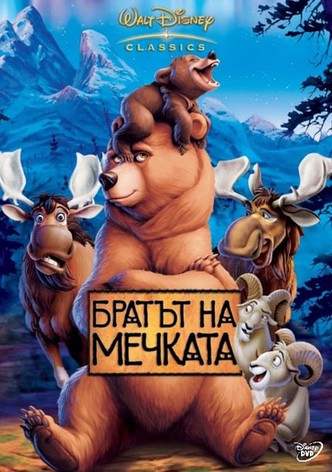 Братът на мечката