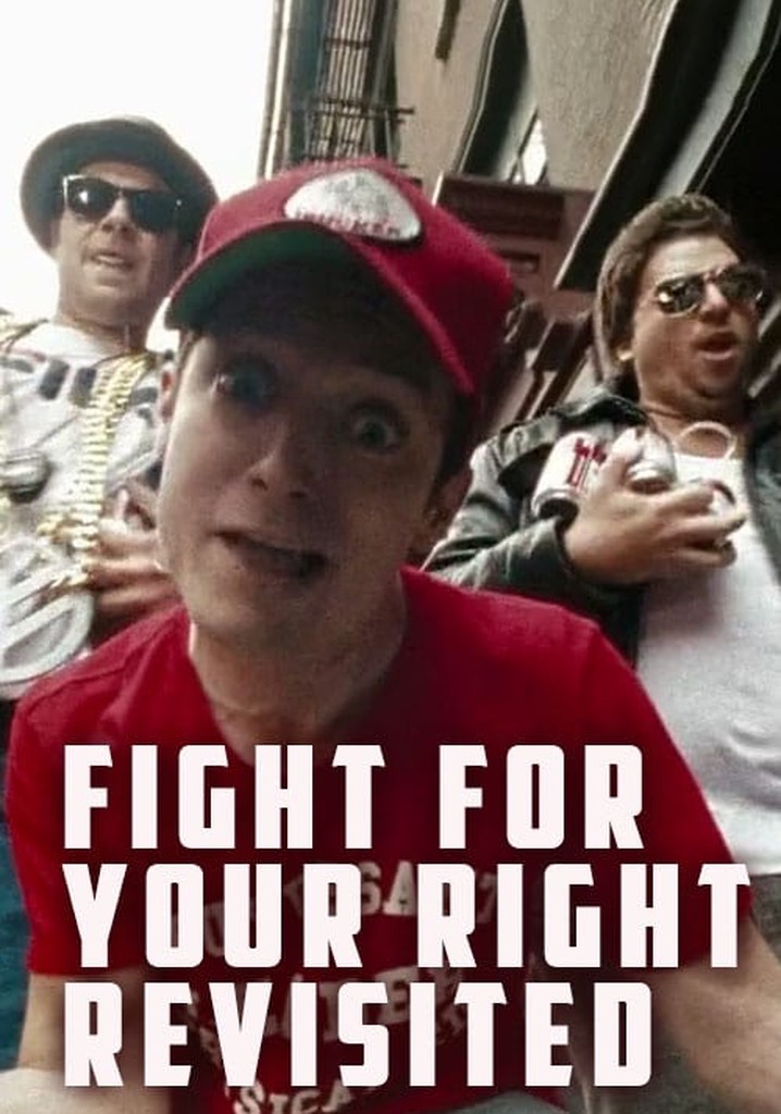 Fight for Your Right Revisited