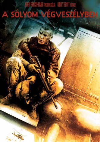 A Sólyom végveszélyben