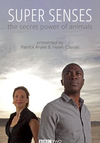 Super Senses: The Secret Power of Animals