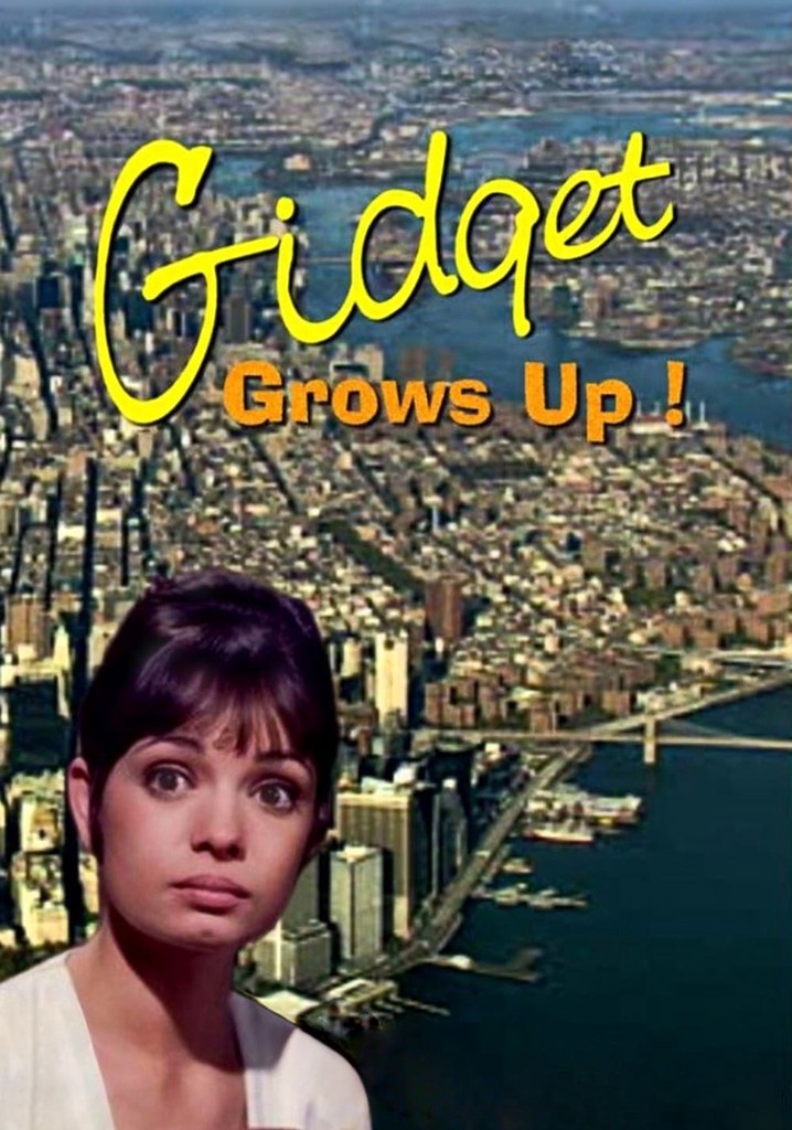 Where Can I Watch Gidget For Free Gidget Grows Up streaming: where to watch online?
