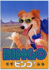 ビンゴ!