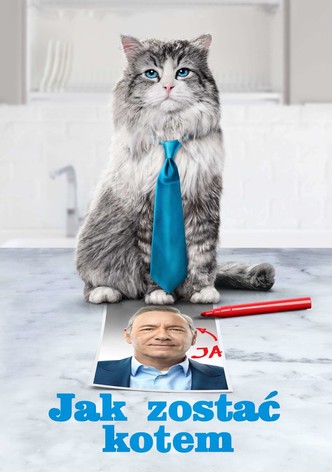 Jak zostać kotem