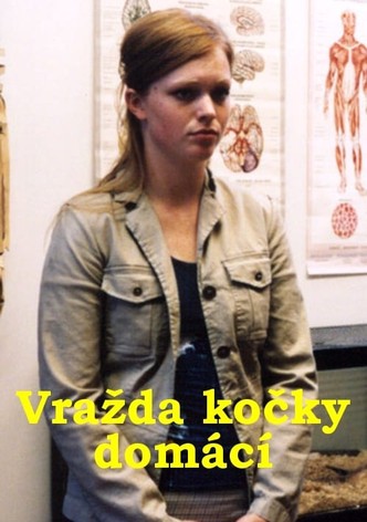 Vrazda kocky domácí