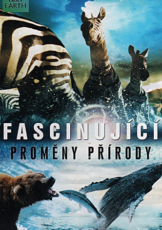 Fascinující proměny přírody