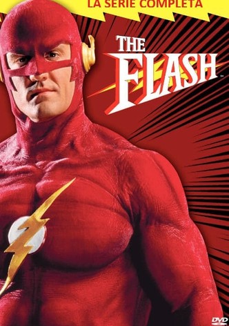 The Flash: El último vengador - Temporada 1