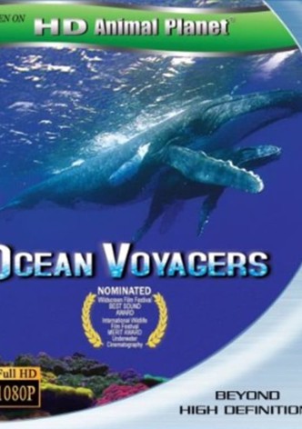 Ocean Voyagers