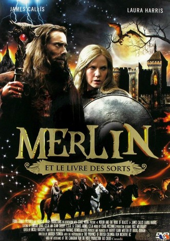 Merlin et le livre des sorts