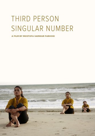 Third Person Singular Number