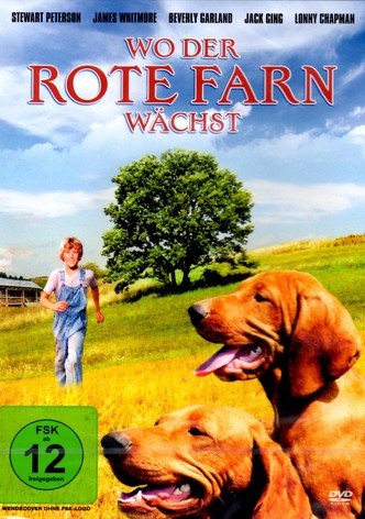 Wo der rote Farn wächst