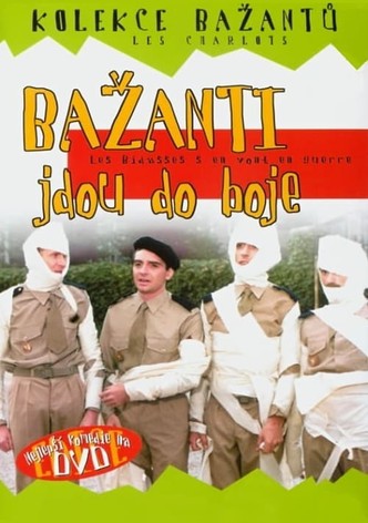 Bažanti jdou do boje