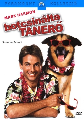 Botcsinálta tanerő