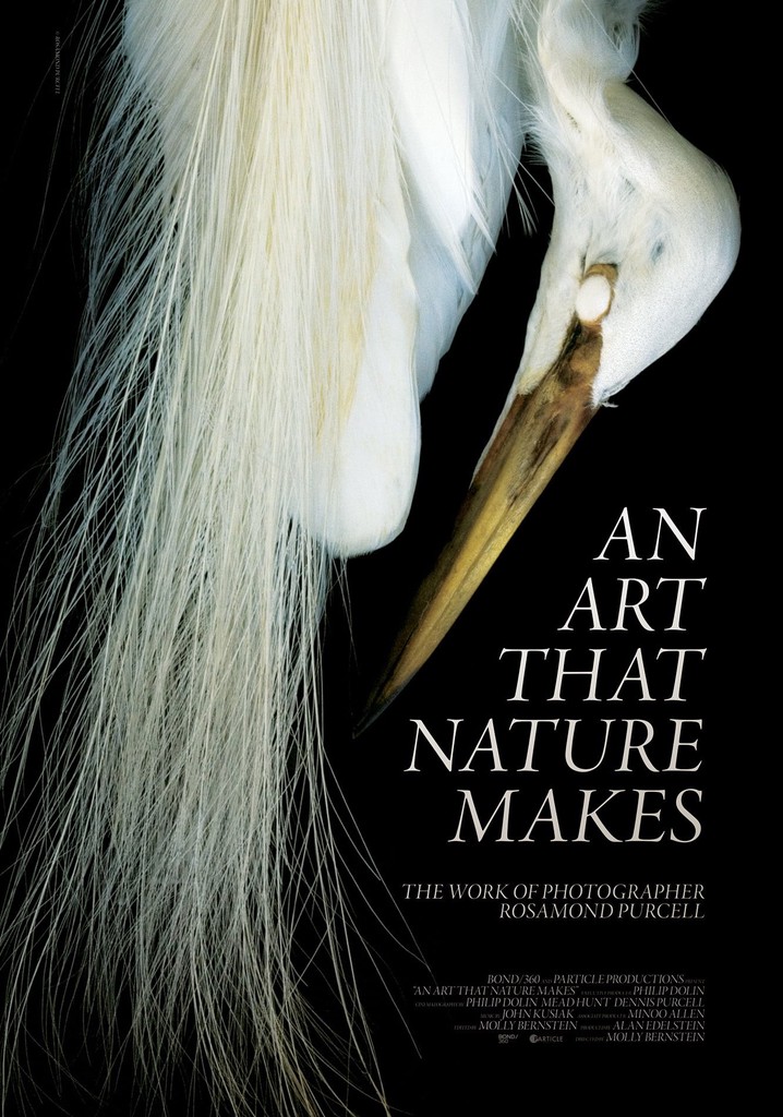 An Art That Nature Makes: The Work of Rosamond Purcell