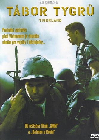 Tábor tygrů