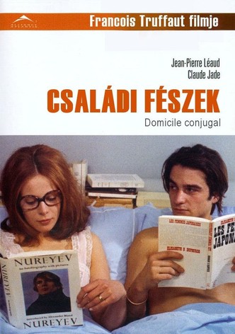 Családi fészek