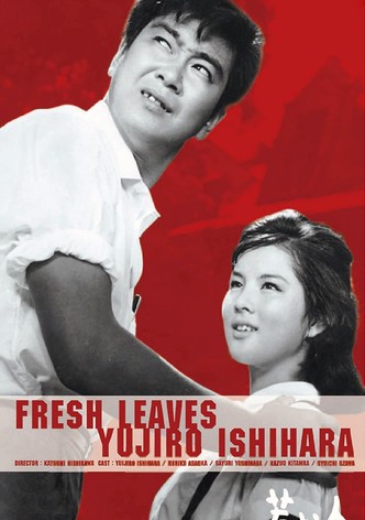 Fresh Leaves