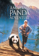 Little Panda