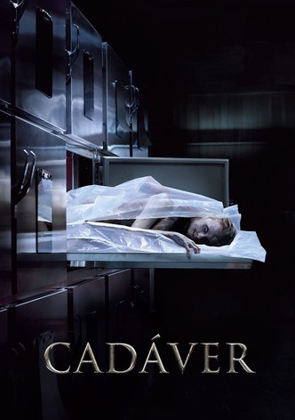 A Possessão de Hanna Grace