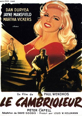 Le Cambrioleur