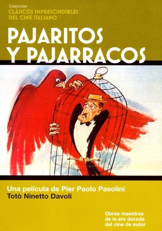Pajaritos y pajarracos
