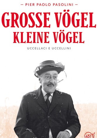 Große Vögel - Kleine Vögel