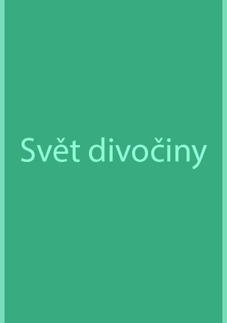 Svět divočiny