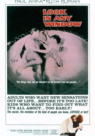 Look in Any Window