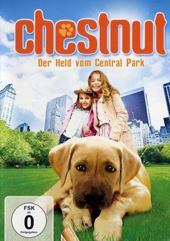Chestnut: Der Held vom Central Park