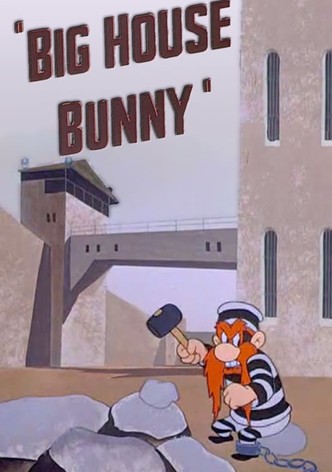 Big House Bunny