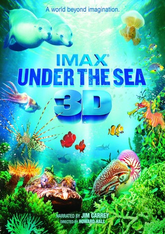 Under the Sea