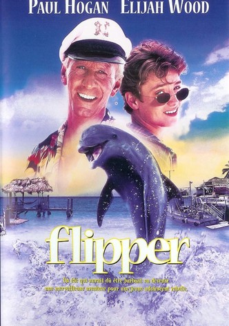 Flipper