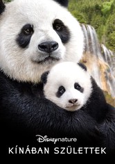 Kínában születtek